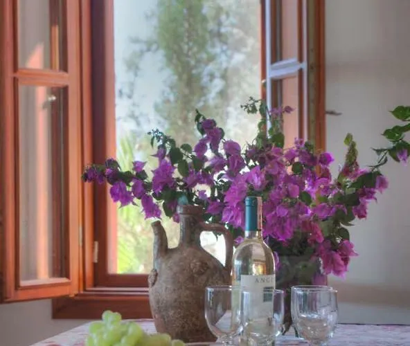 Villa Escalade Iii Kaş