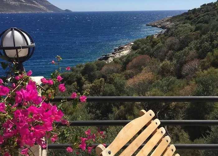 Escalade Iii * 카스